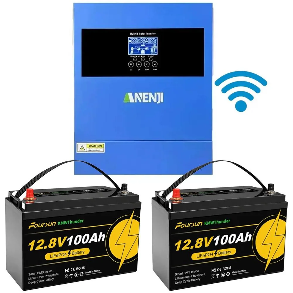 4.2 кВт LiFePO4 Комплект резервного живлення Інвертор Anenji WiFi 24 В + 2 акумулятора 12V 100Ah Foursun