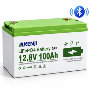 LiFePO4 12V/100Ah Акумулятор Anenji з Bluetooth для резервного живлення будинку, квартири з BMS