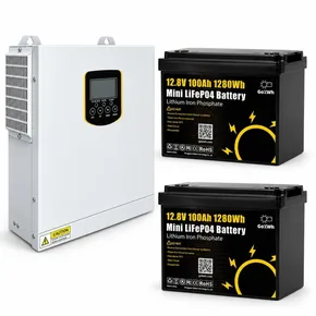 3,5 кВт LiFePO4 Комплект резервного живлення інвертор Daxtromn Power + 2 Акумулятори 12V/100Ah GoKWh Mini для будинку, квартири